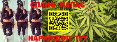 мяу мяу мука Нальчик