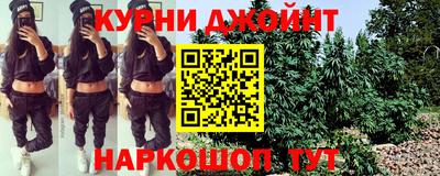 мяу мяу мука Нальчик