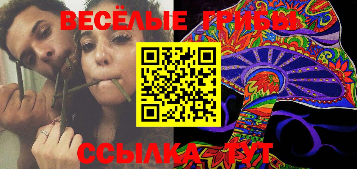 Тулун  Галлюциногенные грибы GOLDEN TEACHER  Вход с VPN 