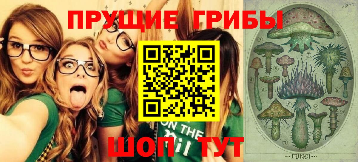 Псилоцибиновые грибы Psilocybe Тулун