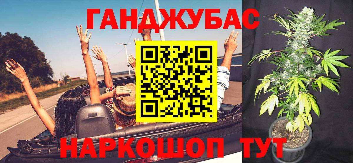Бошки марихуана планчик  Каннабис индика  Бошки Шишки план  Тулун  Вход с VPN  Бошки марихуана сатива 